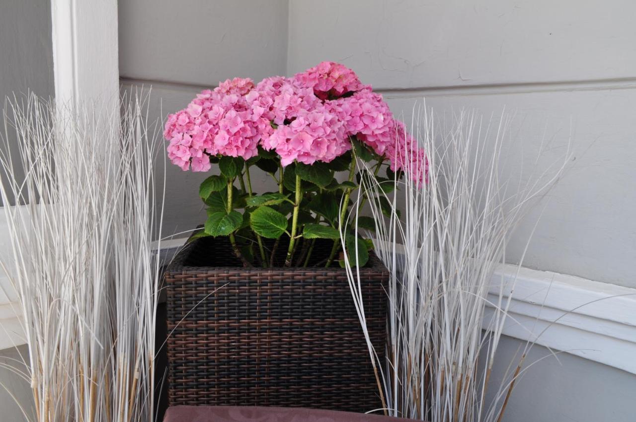 Esedra Hotel Rimini Zewnętrze zdjęcie